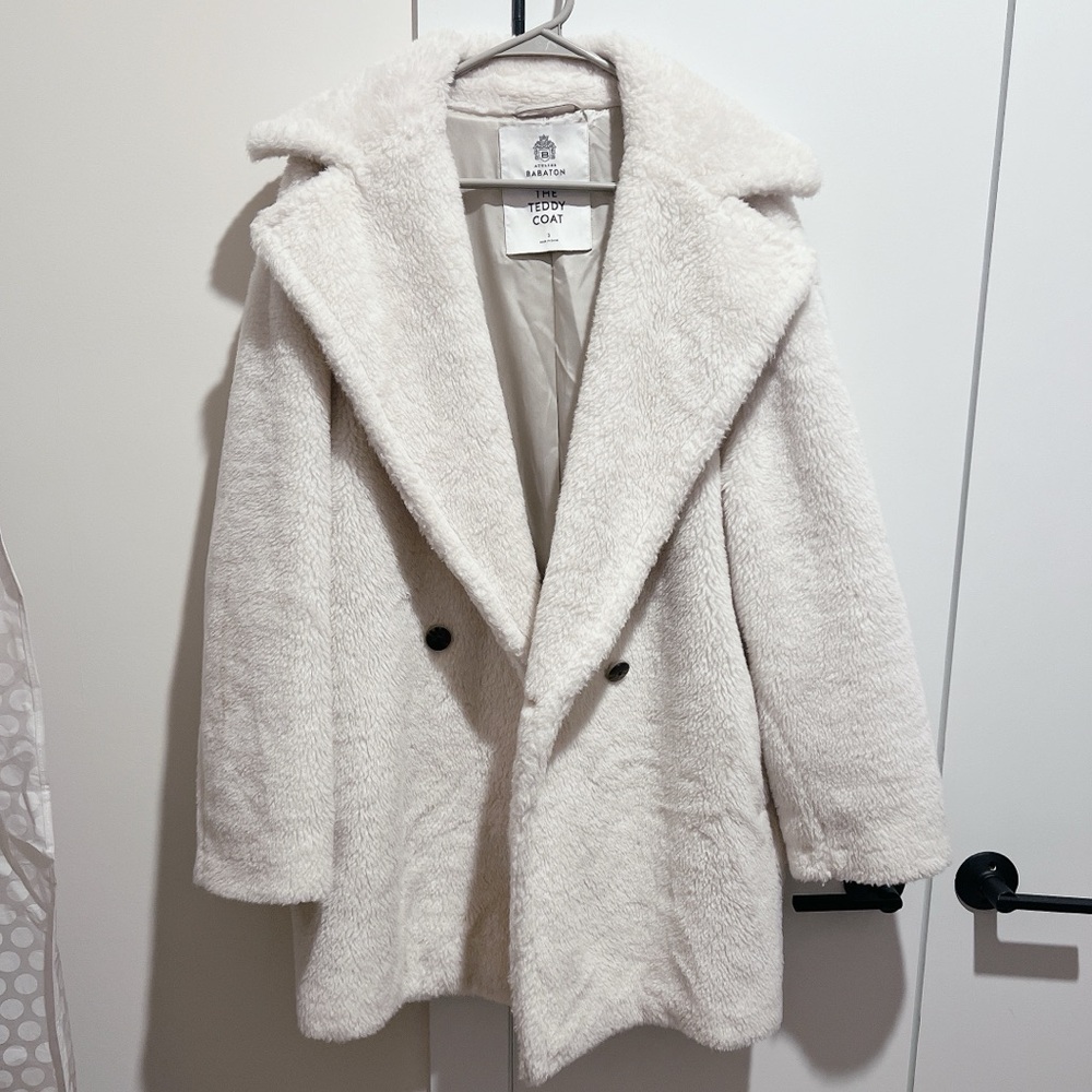 Aritzia Babaton teddy coat